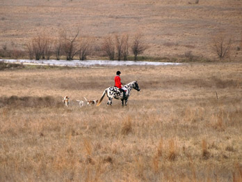 The huntsman and hounds