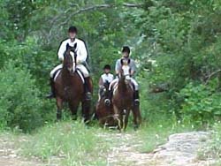 The huntsman and the hounds