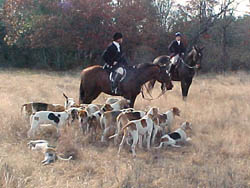 The huntsman and the hounds